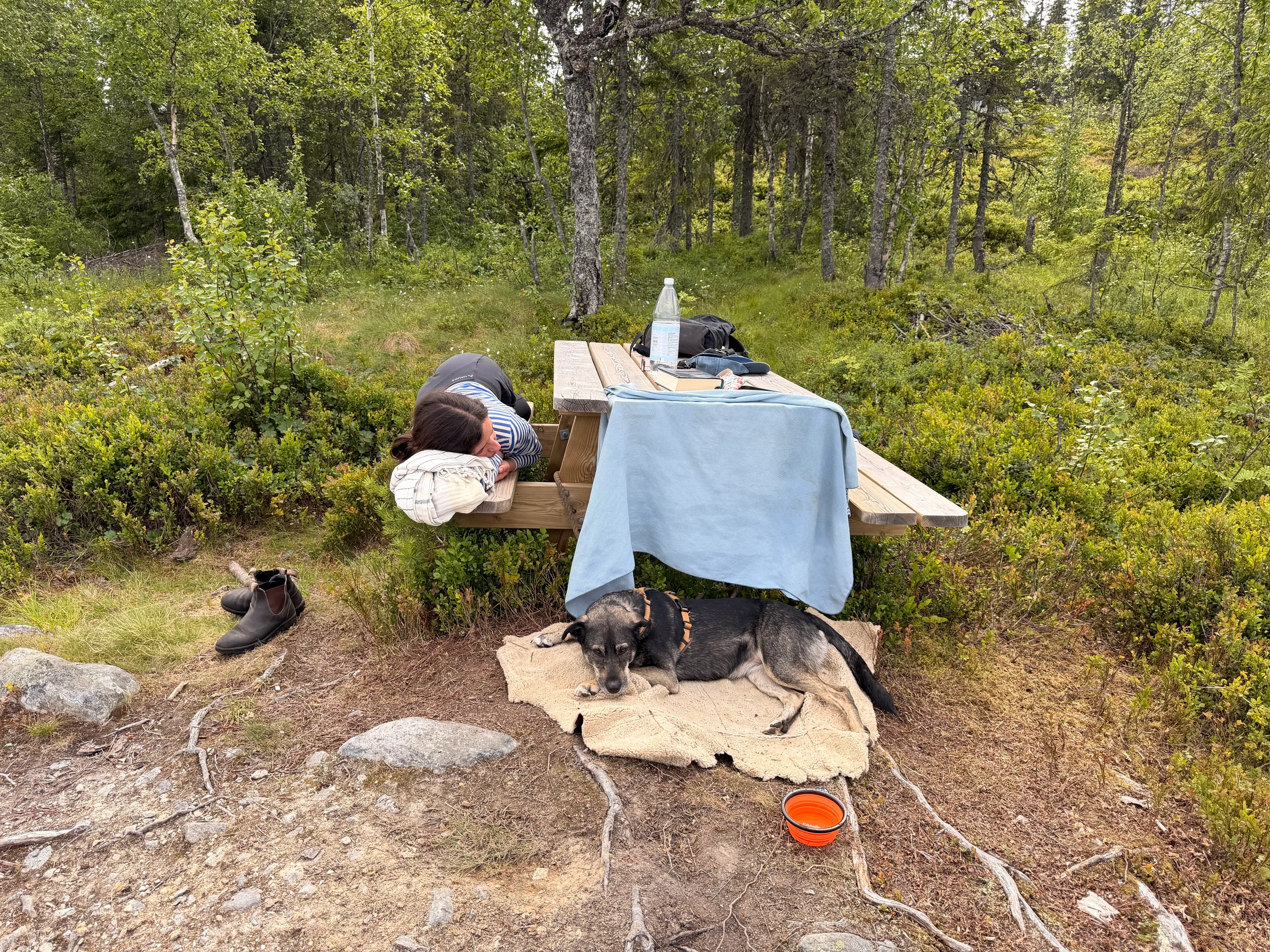 Gjovik, 08.07.2026