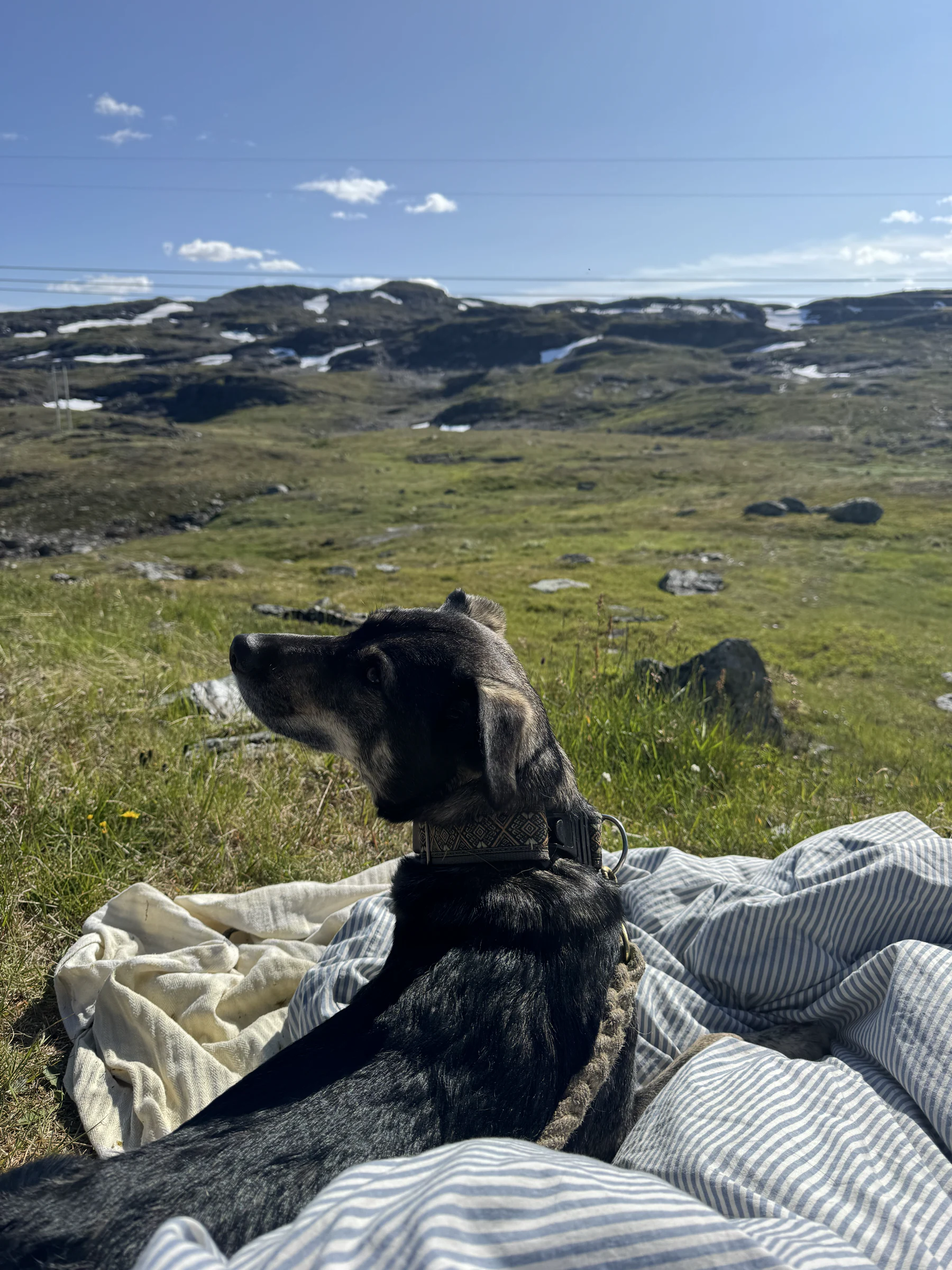 Sogndal, 20.07.2026