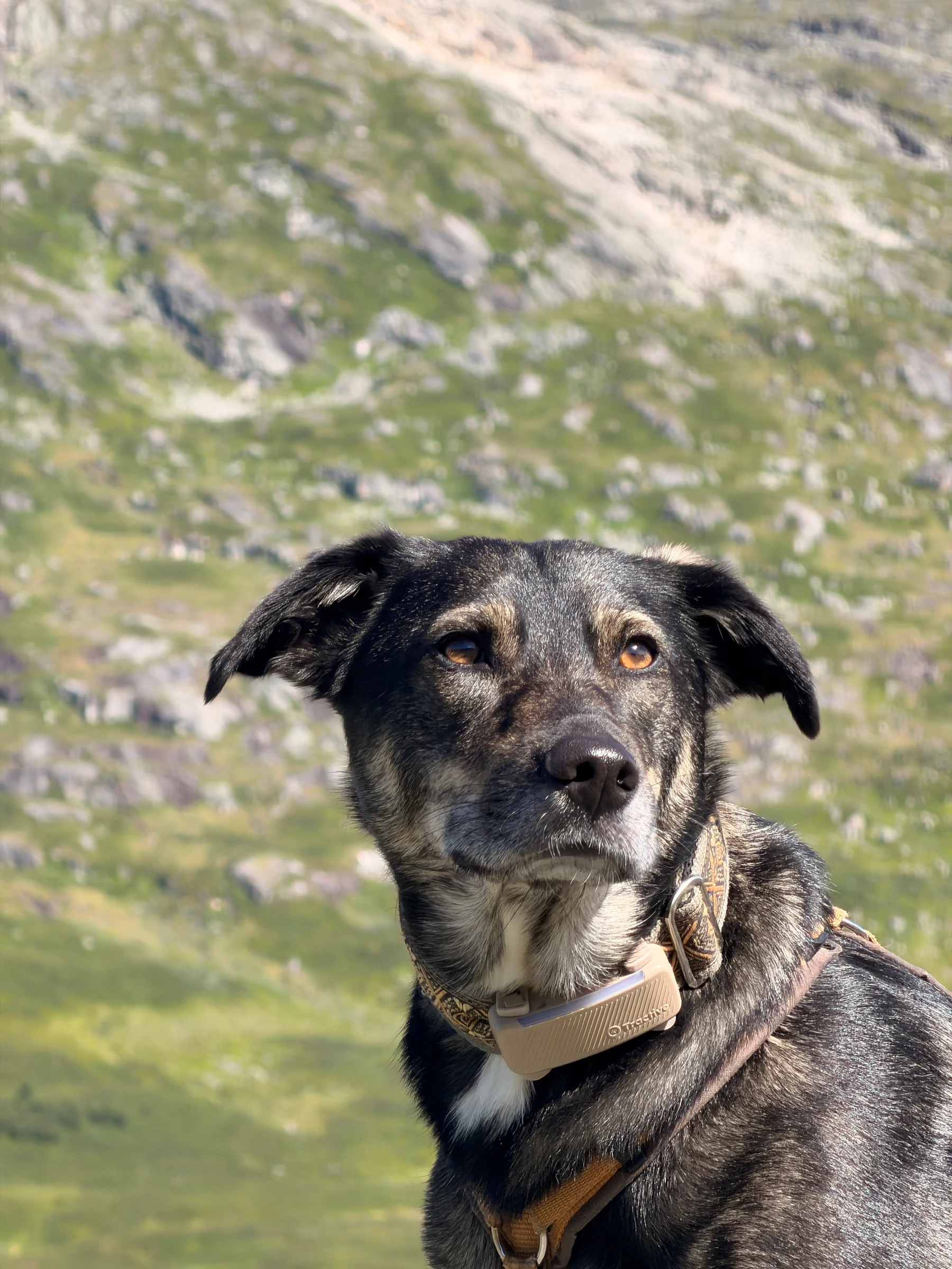 Sogndal, 20.07.2026