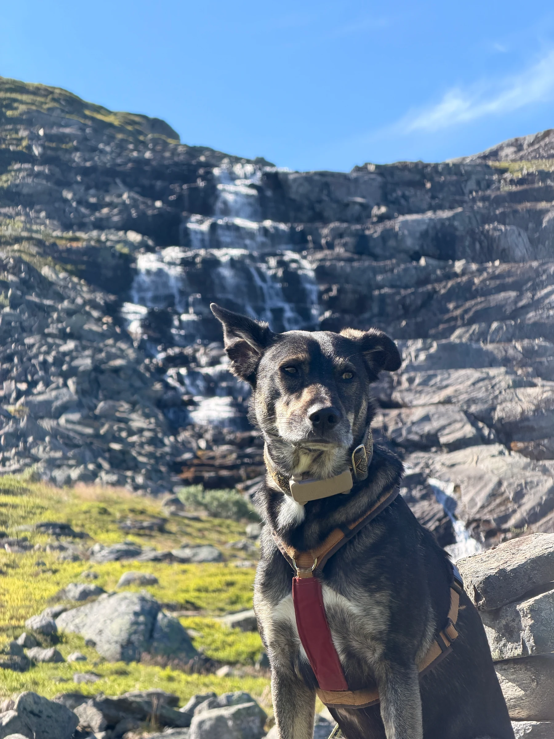 Sogndal, 20.07.2026