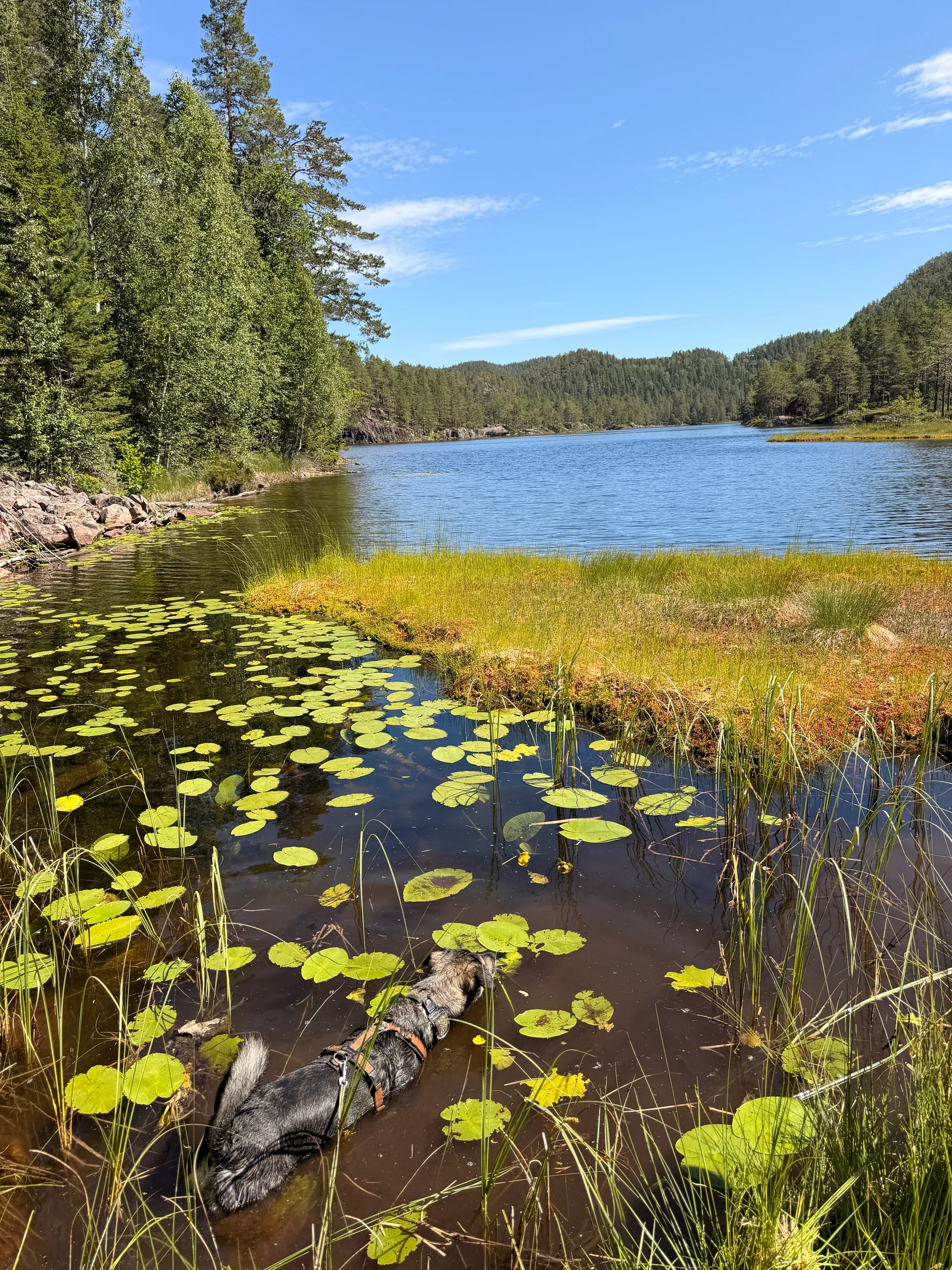 Kongsberg, 24.07.2026